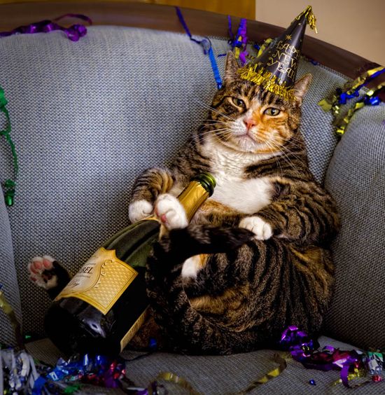 Cat sitting on couch with happy new yer hat and streamers